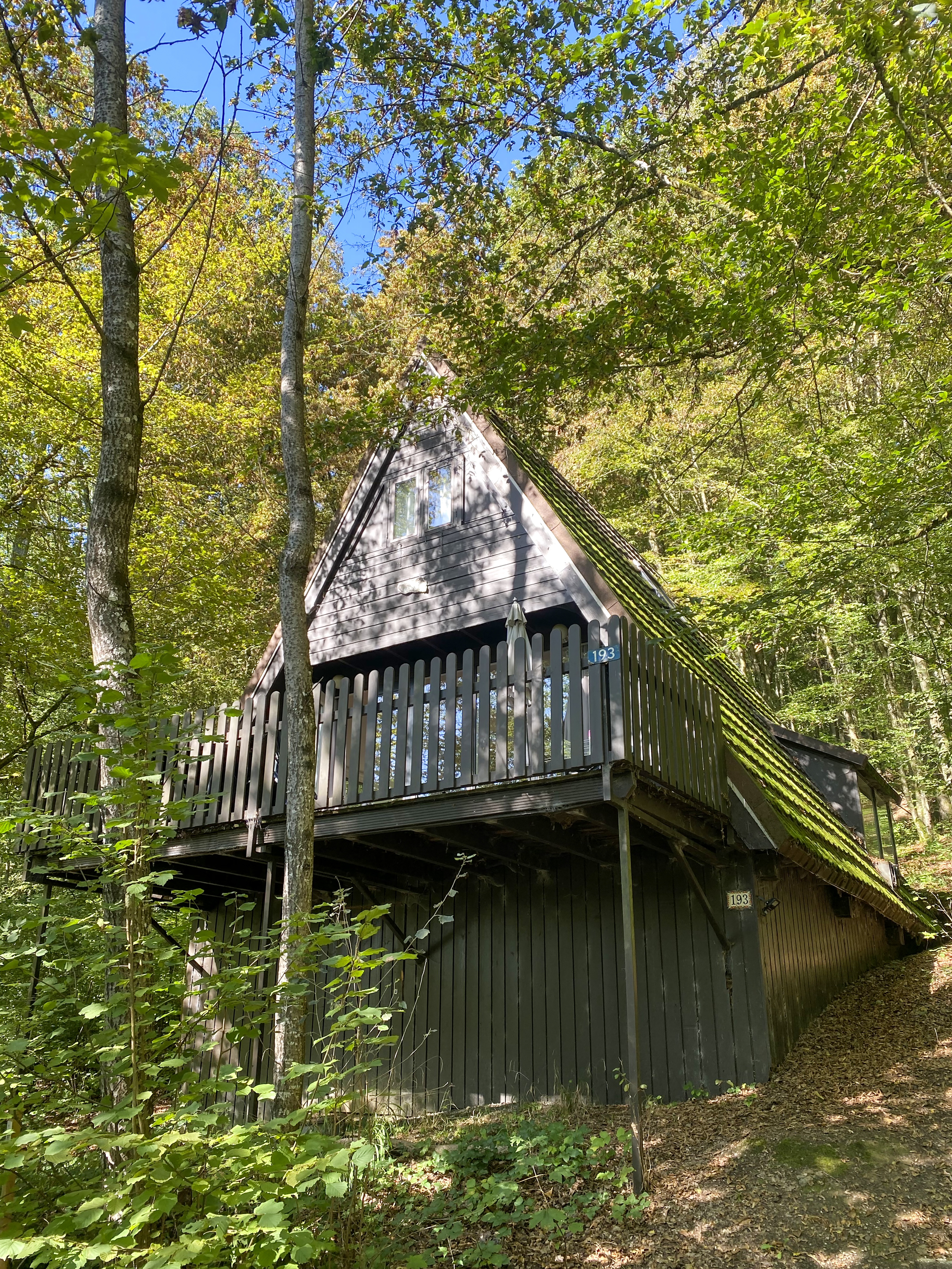 Het chalet van buiten