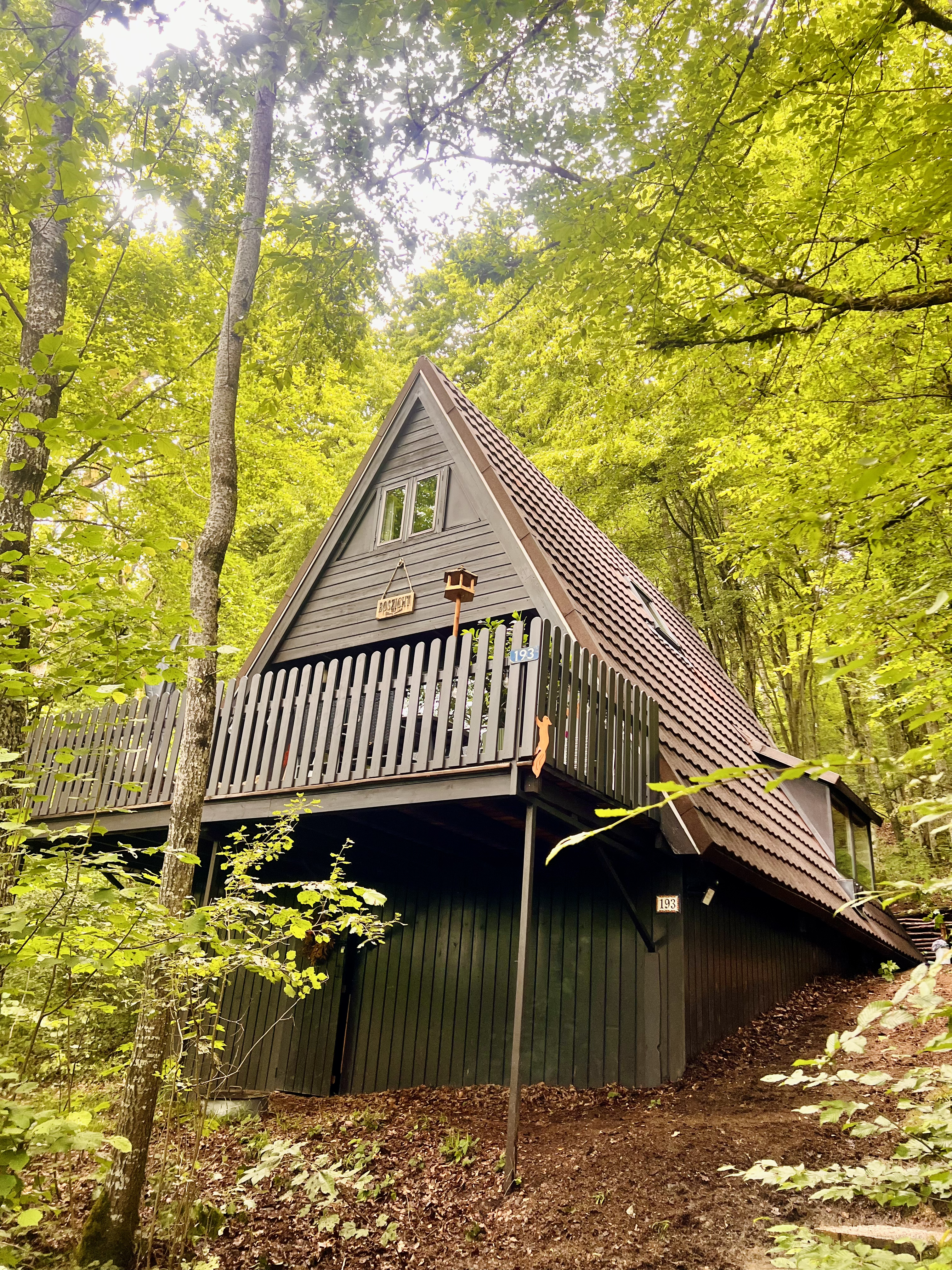 Het chalet van buiten